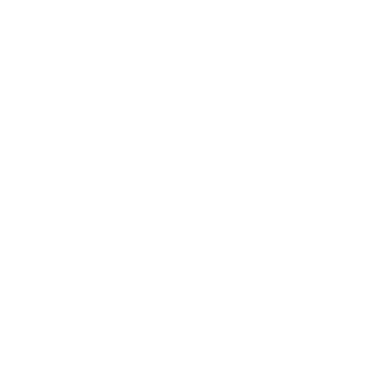 Da Vinci fysio·leefstijl·coaching